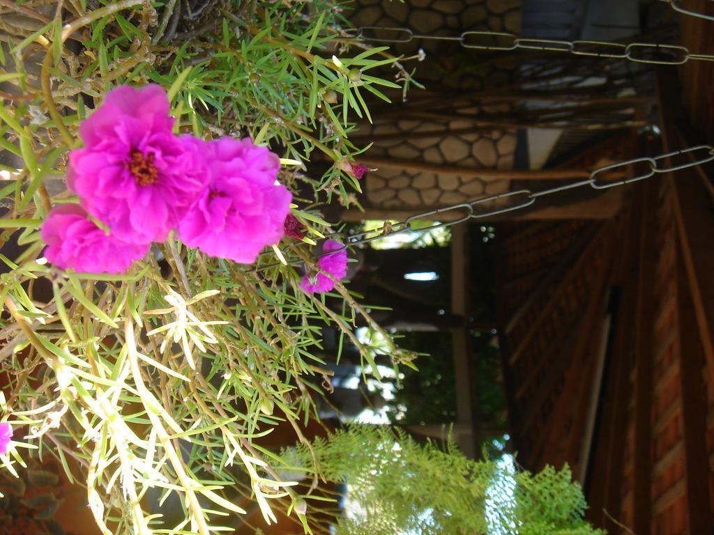 מרודה Hotel Porto Da Lua חדר תמונה